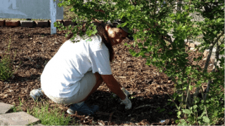 Girl bending down behind a tree to pick up trash
